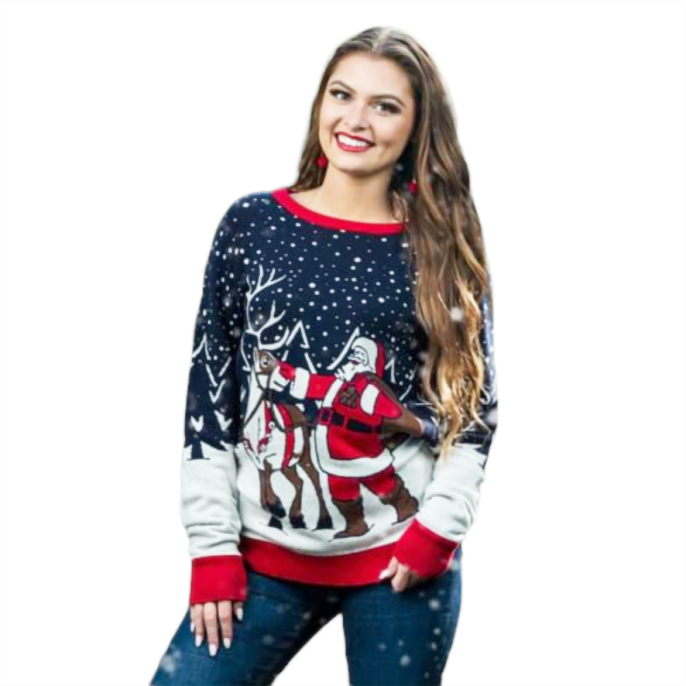 Santa And Reindeer  Sweater - NovaSmartLinks