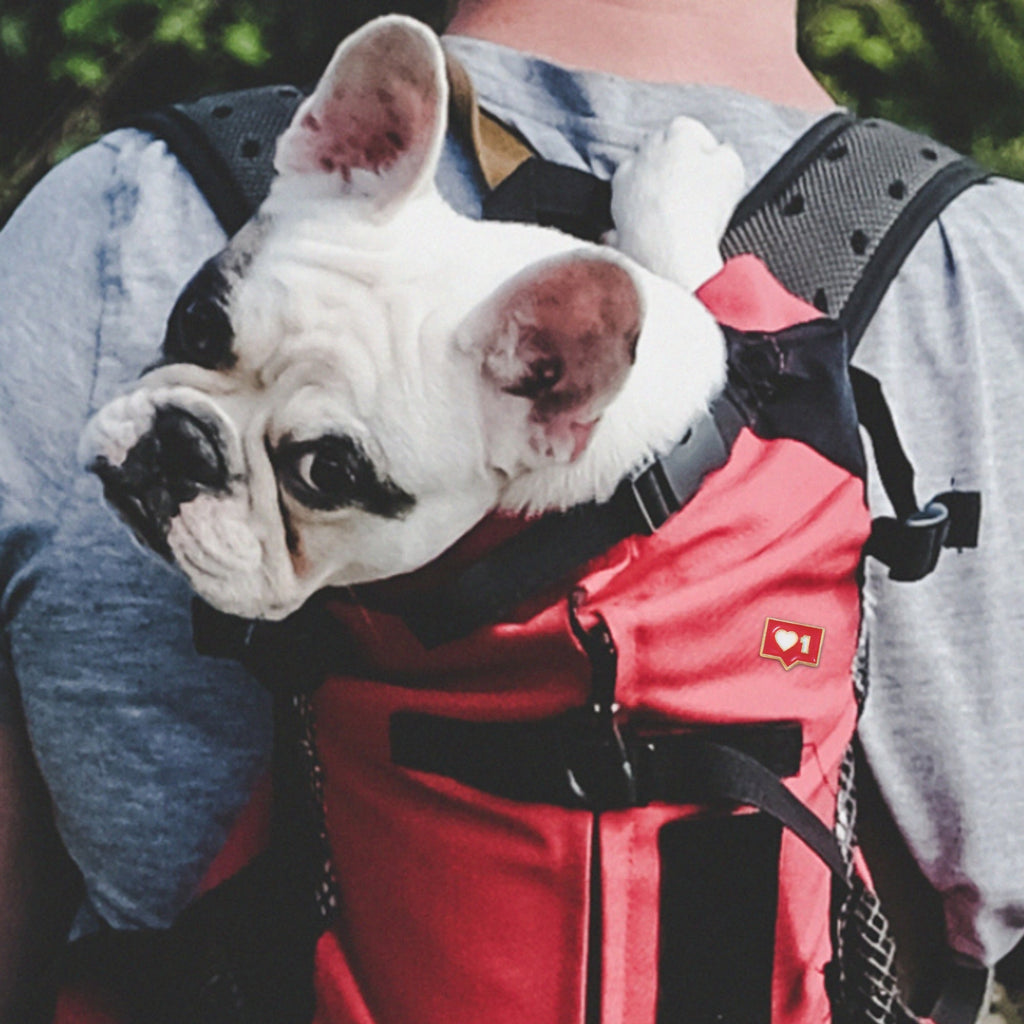 1 Like | Collectible Pin - NovaSmartLinks