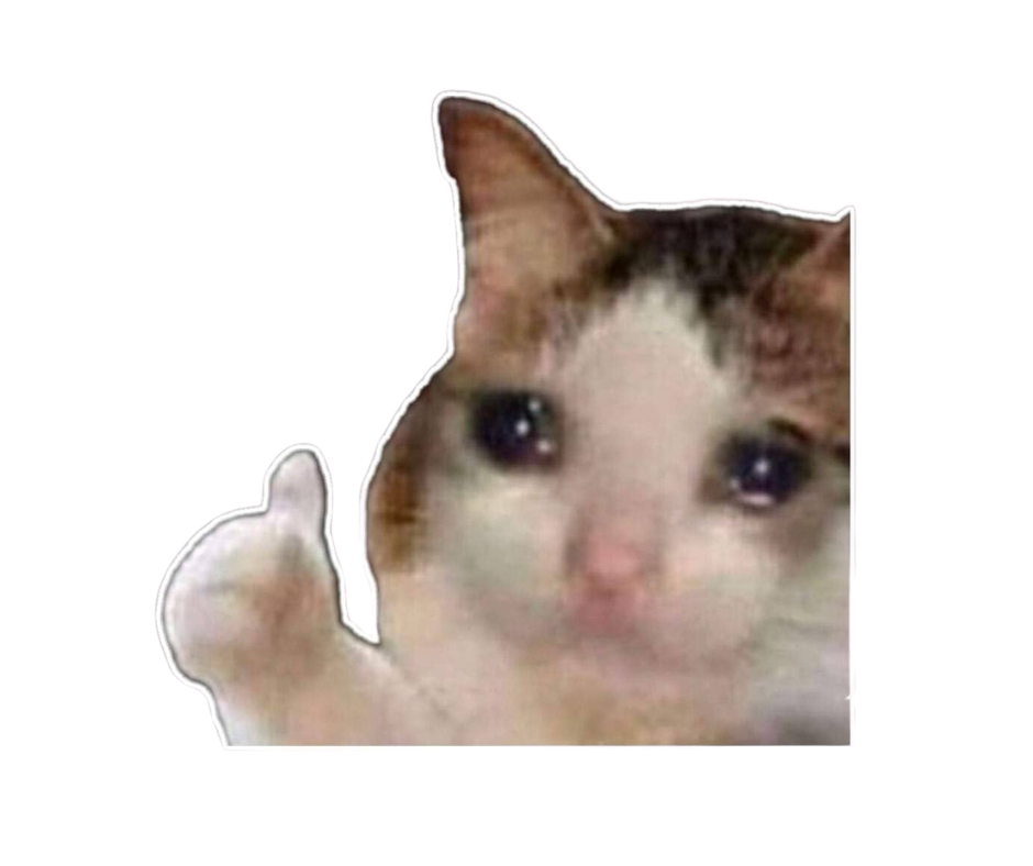 Doing Great! Sad Cat Thumbs Up Meme | Collectible Pin - NovaSmartLinks