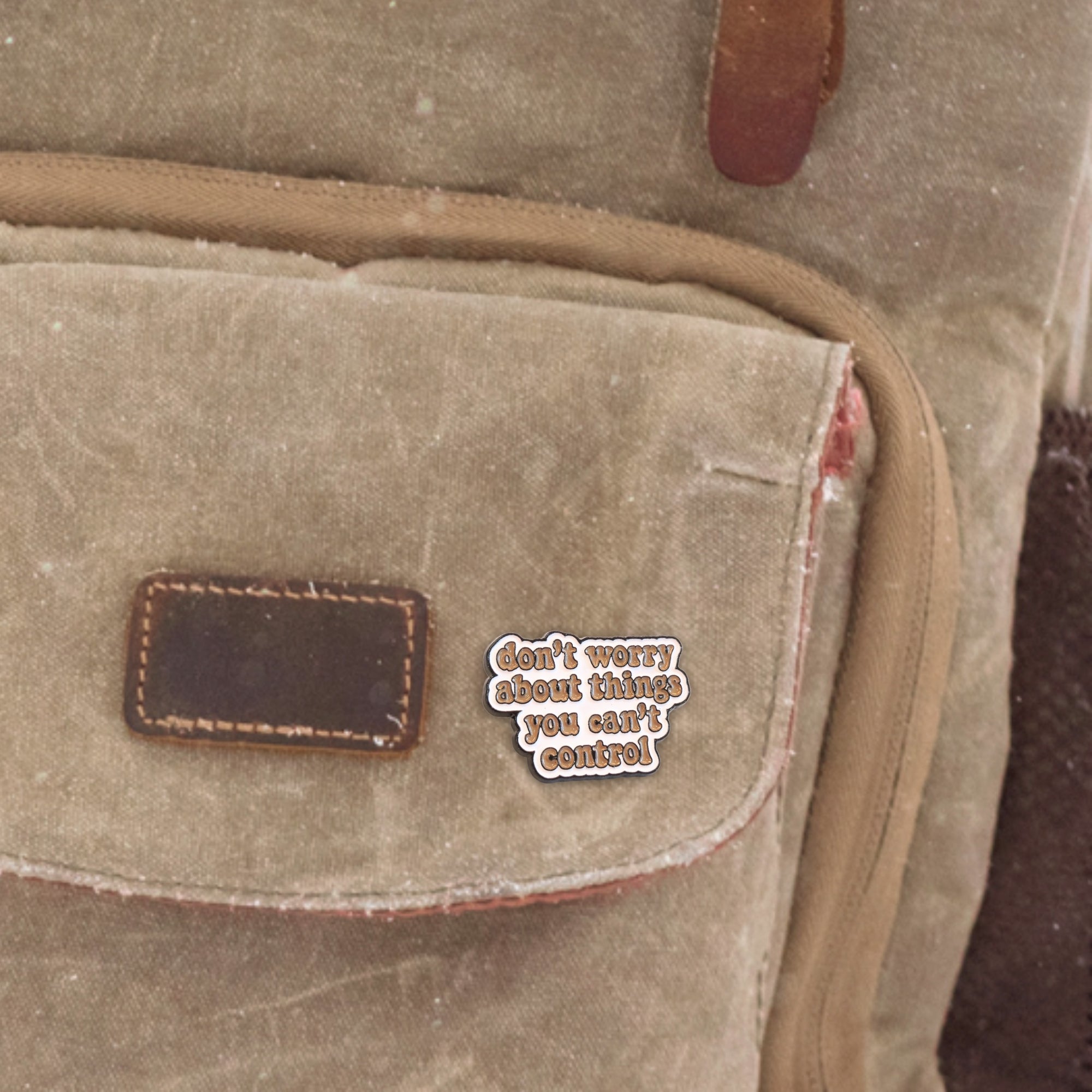 Don't Worry About Things You Can't Control | Collectible Pin - NovaSmartLinks