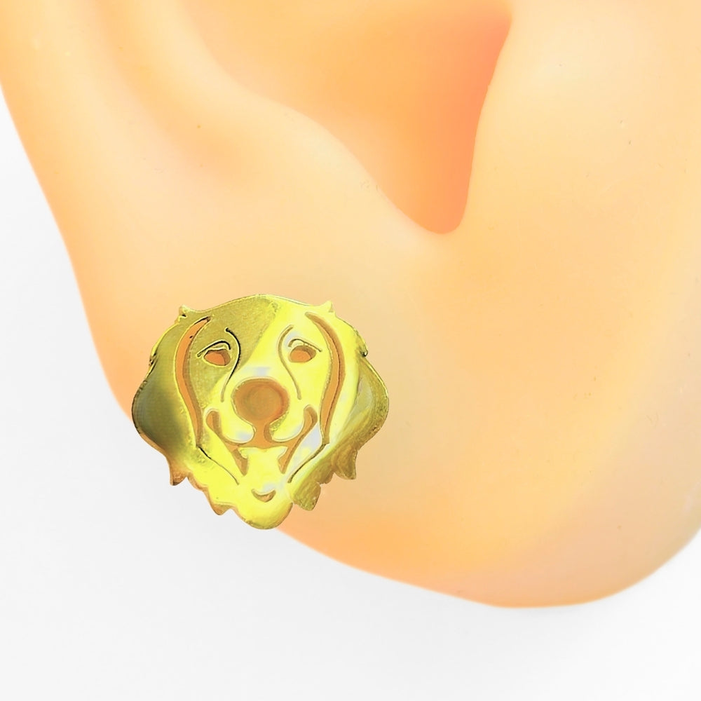 Golden Retriever Studs - NovaSmartLinks