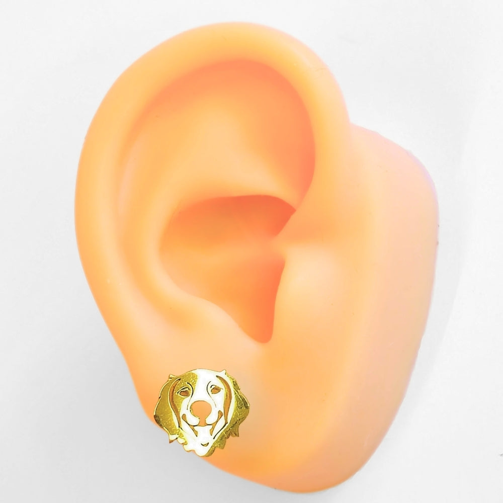 Golden Retriever Studs - NovaSmartLinks