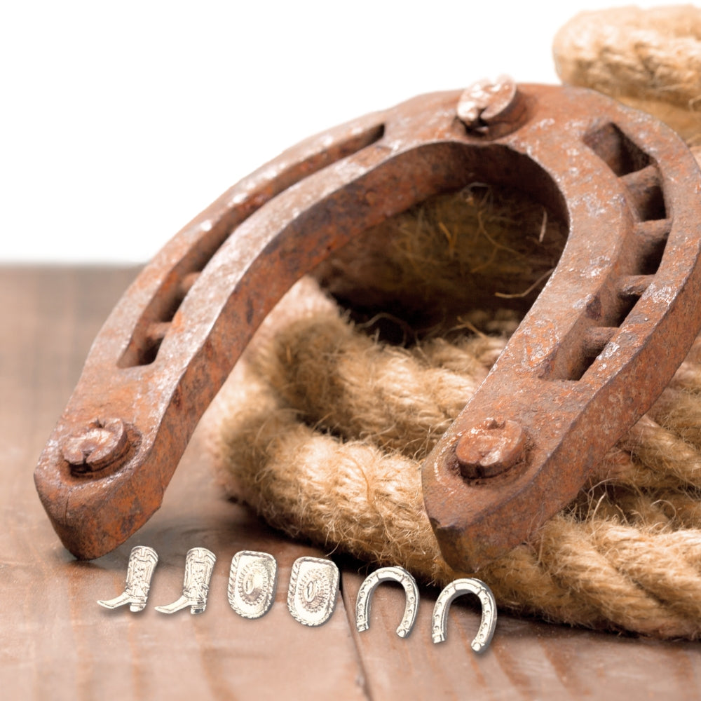 Country & Western Stud Earrings - NovaSmartLinks