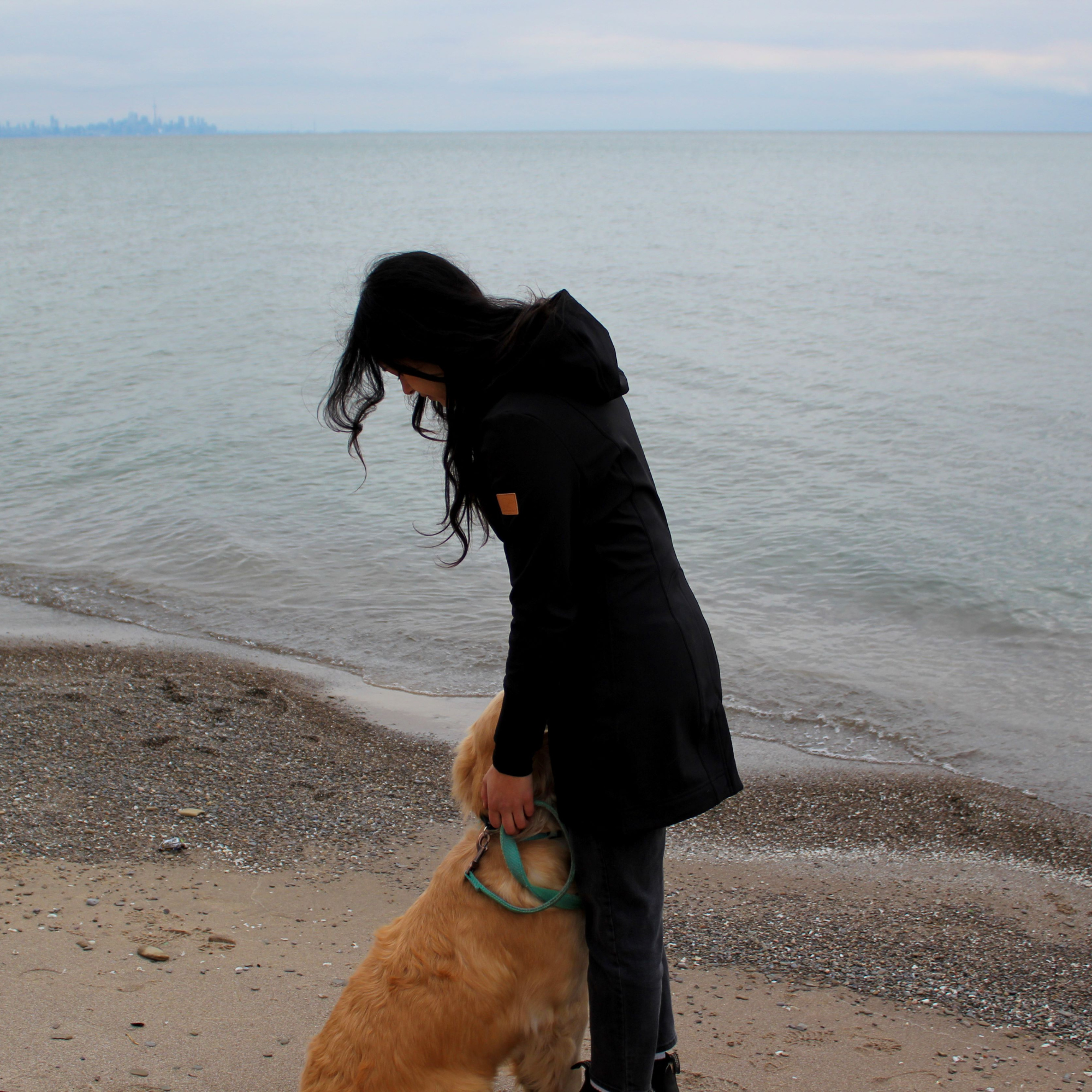 Classic Softshell - NovaSmartLinks